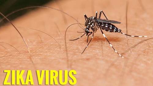 Trung Quốc phát hiện trường hợp nhiễm virus Zika đầu tiên