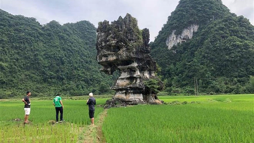 Đánh giá khảo sát Công viên địa chất toàn cầu UNESCO Non nước Cao Bằng