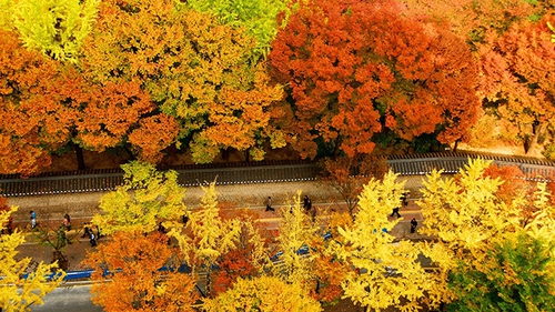 Bí ẩn con đường mang lời nguyền chia tay ở Hàn Quốc