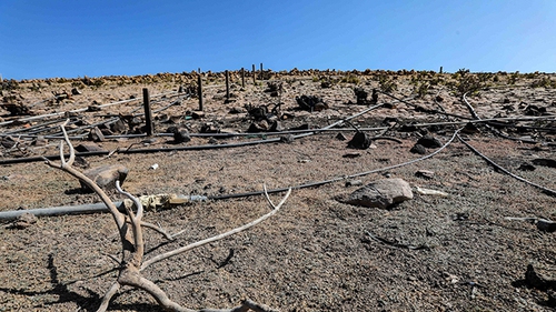 GEMMES Việt Nam: Tìm chiến lược thích ứng để đối mặt với biến đổi khí hậu