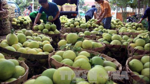 Vụ 'bảo kê' chợ Long Biên (Hà Nội): Sẽ không để chìm xuồng