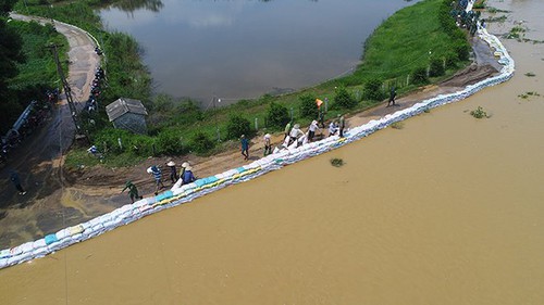 Chùm ảnh: Hàng trăm bộ đội và người dân cùng nhau hộ đê tả Bùi