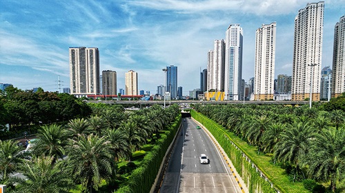 Hà Nội tăng cường 'xanh hóa' các tuyến giao thông
