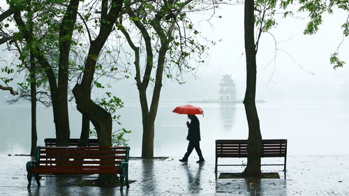 Phố xanh mùa nhớ!