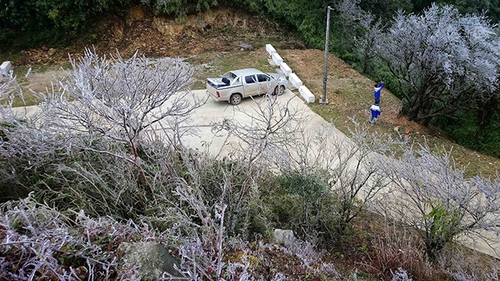 Chùm ảnh: Băng tuyết trên đỉnh núi Phia Oắc, Cao Bằng