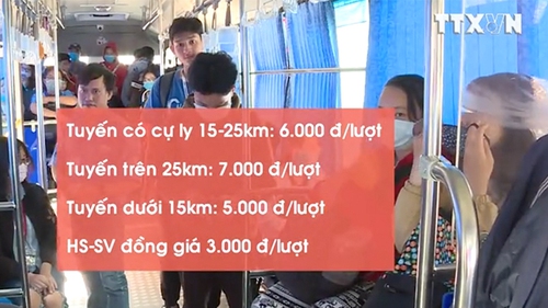 VIDEO: Giá vé xe buýt TP.HCM tăng từ 1/5