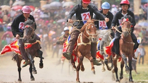 Đến Bắc Hà, xem vó ngựa Cao nguyên