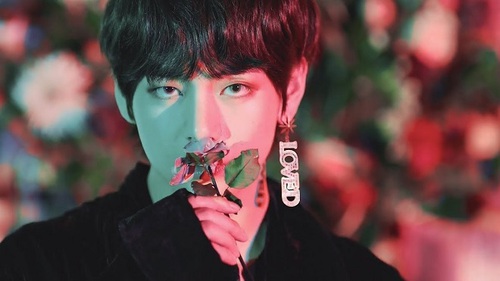 Hoa Smeraldo mở, BTS chính thức ẩn ý về album mới?