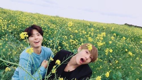 V BTS từng khăn gói tới thăm Park Bo Gum trong quân đội