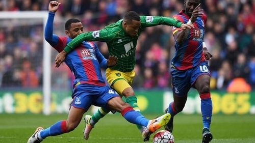 Soi kèo nhà cái Norwich vs Crystal Palace. Nhận định, dự đoán bóng đá Ngoại hạng Anh (02h45, 10/2)