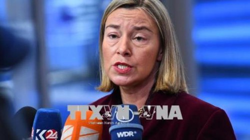 EU ủng hộ giải pháp chính trị, nhiều nước chia sẻ quan điểm phản đối hành động quân sự tại Syria