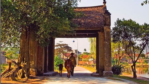 Bảo tồn làng cổ Đường Lâm: Giải bài toán hàng ngàn người đang sống trong di sản