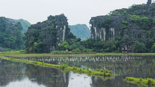 'Nàng thơ Tam Cốc' khoe vẻ đẹp hiếm có giữa sắc Thu