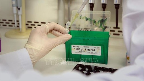 Bệnh nhân cần có xét nghiệm﻿ âm tính với SARS-CoV-2 trước khi chuyển điều trị ở Cần Thơ