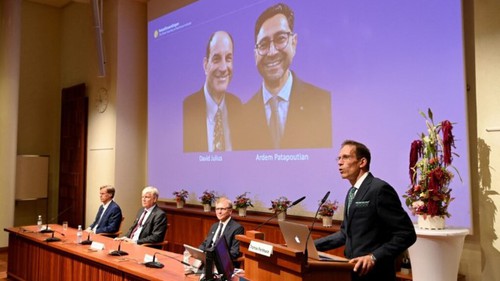 Giải Nobel Y học 2021 và các giải Nobel Y học 10 năm trở lại đây