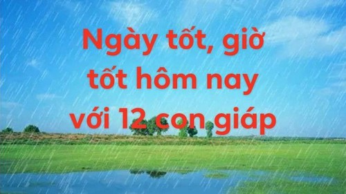 Xem ngày tốt giờ tốt hôm nay 13/11/2021 với 12 con giáp