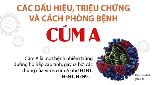 Các dấu hiệu, triệu chứng và cách phòng bệnh cúm A