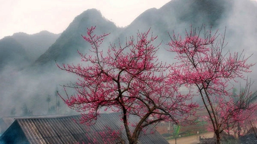 Dự báo thời tiết ngày 3/1: Bão số 1 đang mạnh lên, Hà Nội rét đậm, chiều và đêm có mưa