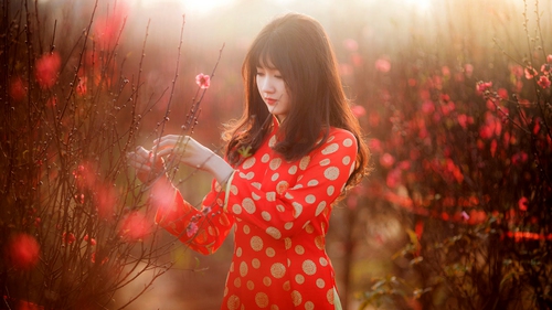 Tết Nguyên đán và những lưu ý cần biết