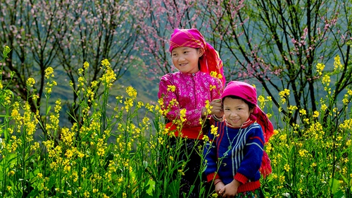 Dự báo thời tiết từ nay đến Tết Nguyên đán