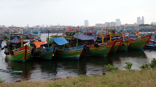 Tin bão mới nhất, cơn bão số 5