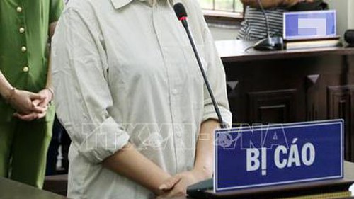 Triệt phá đường dây kinh doanh mang thai hộ tại Hà Nội