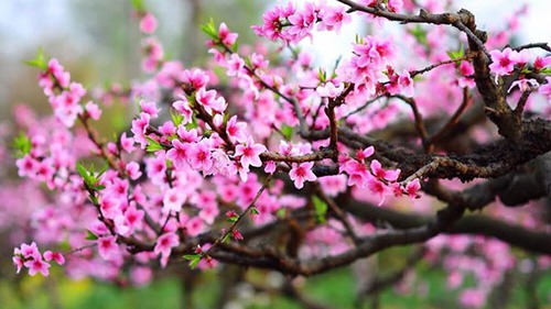 Góc nhìn 365: Cho một vòng quay mới