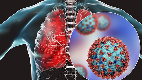 Virus SARS-CoV-2 và ảnh hưởng đến hệ thống sinh sản nam giới