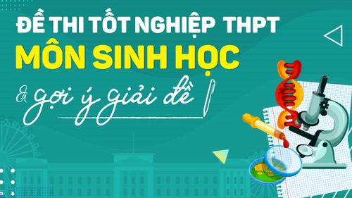 Đề thi môn Sinh học tốt nghiệp THPT quốc gia 2022