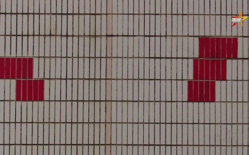 Triển lãm "Diện mạo vạn vật": Một không gian chiêm nghiệm