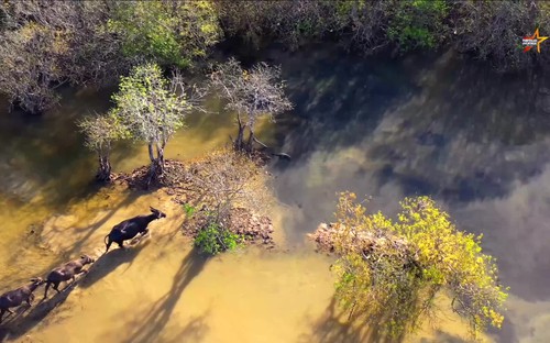 Mỗi thước phim - một Đại sứ Du lịch từ cuộc thi “Ấn tượng Du lịch Việt Nam”