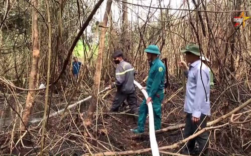 Dập tắt cháy rừng ở Di tích lịch sử Bàu Sen