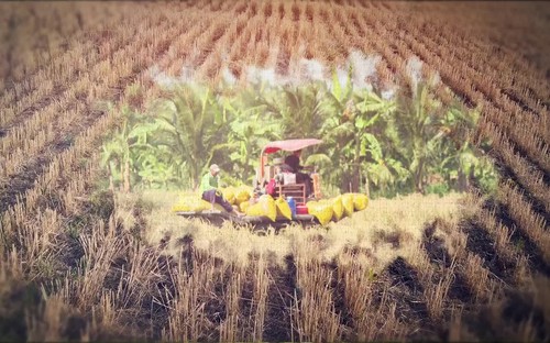 Người nông dân với mong mỏi giản đơn!