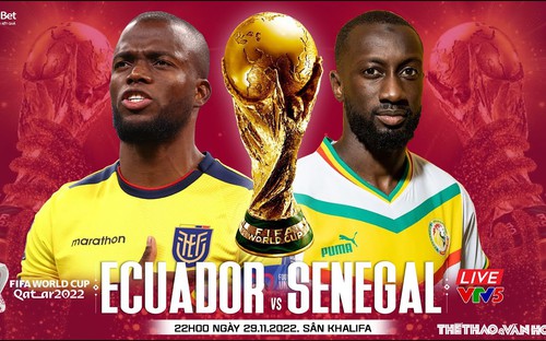 VIDEO: Chuyên gia nhận định Ecuador vs Senegal, 22h00 ngày 29/11, World Cup 2022