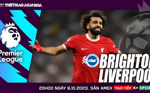 VIDEO nhận định bóng đá Brighton vs Liverpool. Trực tiếp Ngoại hạng Anh hôm nay (20h00 ngày 8/10)