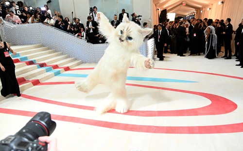 Thảm đỏ Met Gala:  Jared Leto chiếm trọn spotlight khi biến hình thành chú mèo khổng lồ