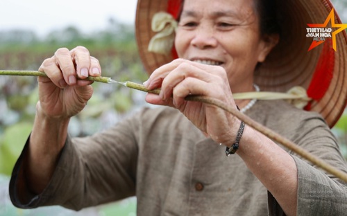 Nghệ nhân Phan Thị Thuận: Rút sợi tơ sen dệt lụa