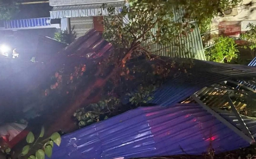 Bão số 13 làm đổ cây, hư hỏng nhiều nhà cửa 