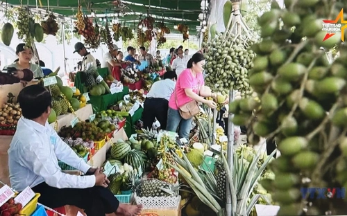 Rộn ràng ngày hội sông nước xứ cù lao