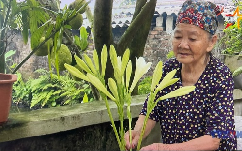 Tự hào người 'giữ lửa' thông tin giữa bom đạn  