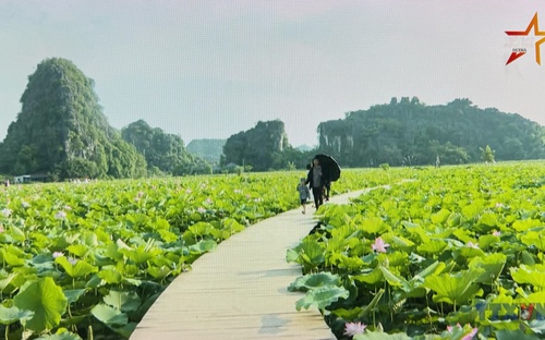 Hương sen miền di sản 