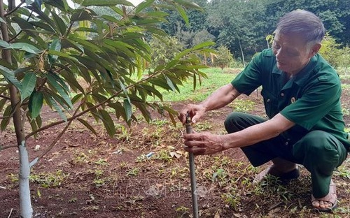 Cựu chiến binh làm giàu giúp đồng bào thiểu số xóa đói giảm nghèo