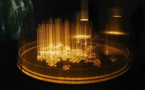 Triển lãm 'Tỏa V' - Cuộc đối thoại giữa nghệ thuật và khoa học