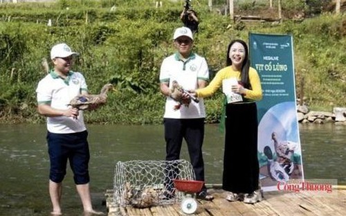 Đưa vịt Cổ Lũng đến với người tiêu dùng nhờ chuyển đổi số