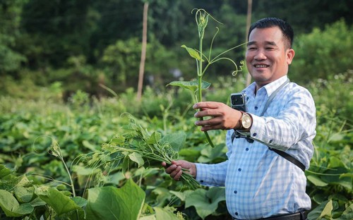Chân dung 'Bí thư xứ Mường' tiên phong chuyển đổi số