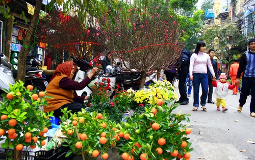Miền Bắc đón Tết Nguyên đán trong mưa rét