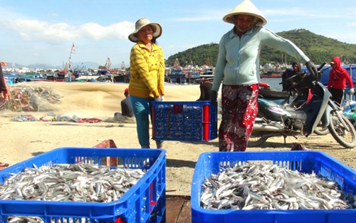 Ăn Tết trên biển (Bài 1): Cờ Tổ quốc không bao giờ ngừng bay trên biển