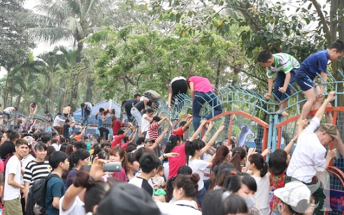 Chuyện 'leo rào công viên nước Hồ Tây': 'Có thể họ sẽ không thấy mình sai hay đáng xấu hổ đâu!'