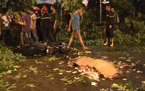 VIDEO: Mưa dông quật chết người, nhiều phương tiện giao thông 'nát xác' trên đường phố Hà Nội