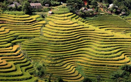 Đến Hà Giang ngắm ruộng bậc thang và dự lễ hội cúng thần rừng